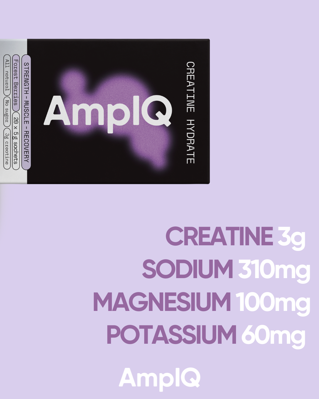 Creatine Hydrate Forest Berries